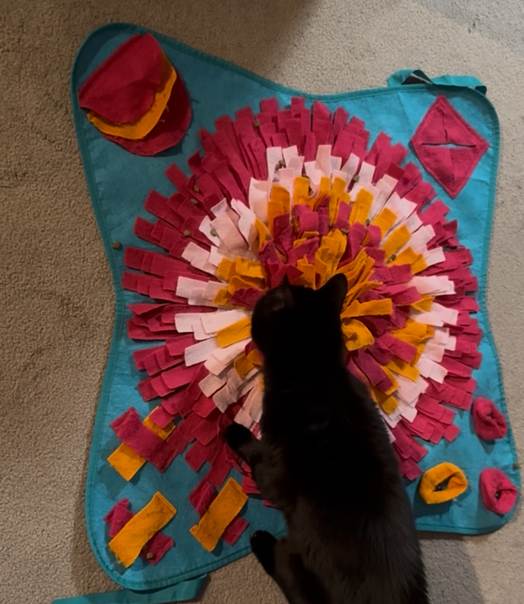 Top view of a cat sniffing a colorful snuffle mat.