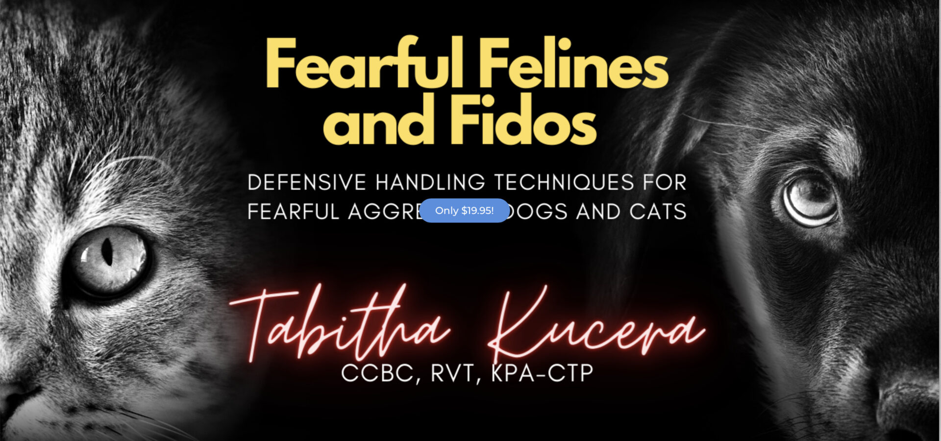 Fearful Felines and Fido: Defensive Handling Techniques for Fear ...