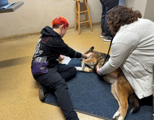 Tabitha on the floor with a shepherd dog calming it while veterinarian examines him.